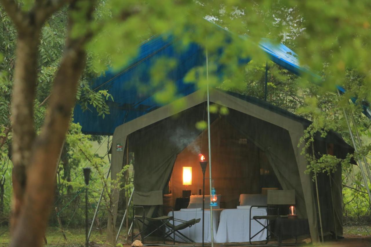 Big Game Udawalawe - By Eco Team Hotel Exterior foto