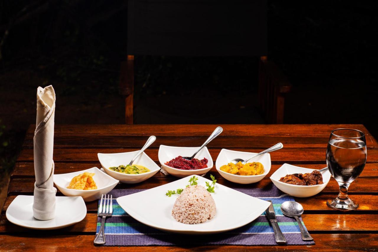 Big Game Udawalawe - By Eco Team Hotel Exterior foto