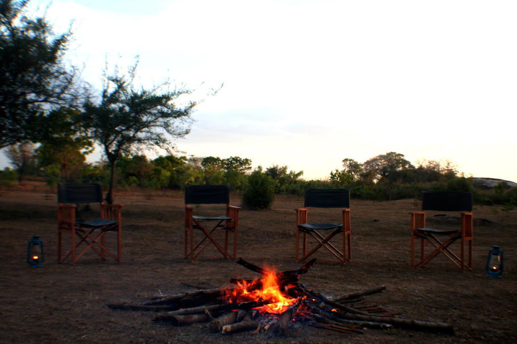 Big Game Udawalawe - By Eco Team Hotel Exterior foto