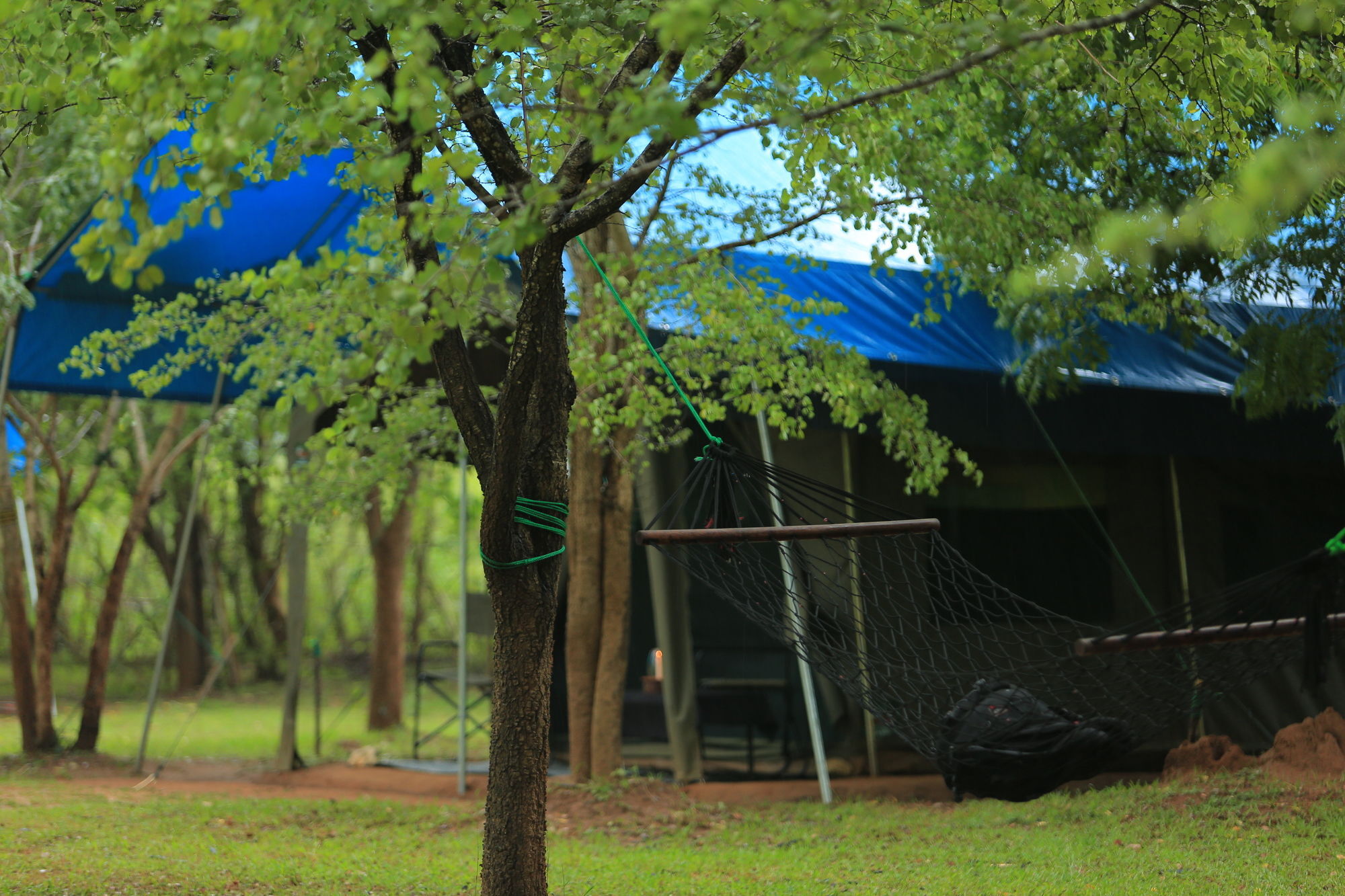 Big Game Udawalawe - By Eco Team Hotel Exterior foto